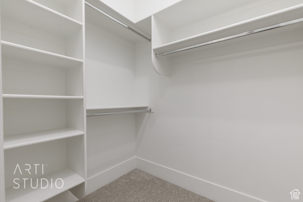 Walk in closet with carpet floors