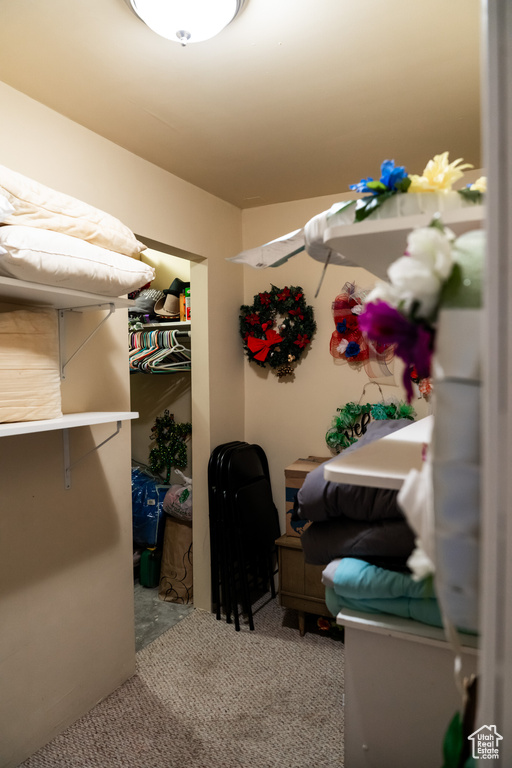 Spacious closet with carpet