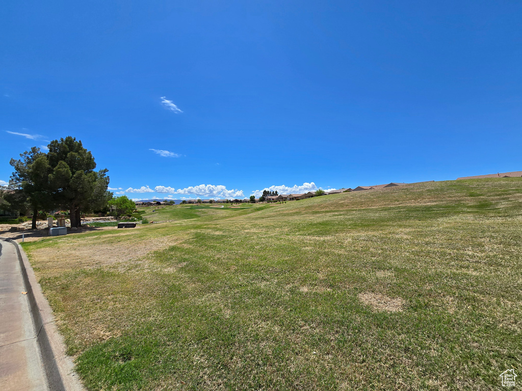 View of grassy yard