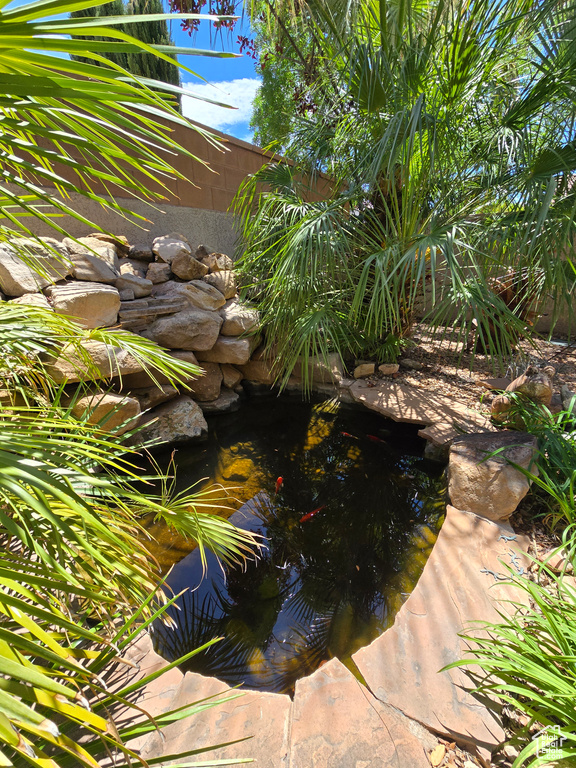 Exterior view of a garden pond