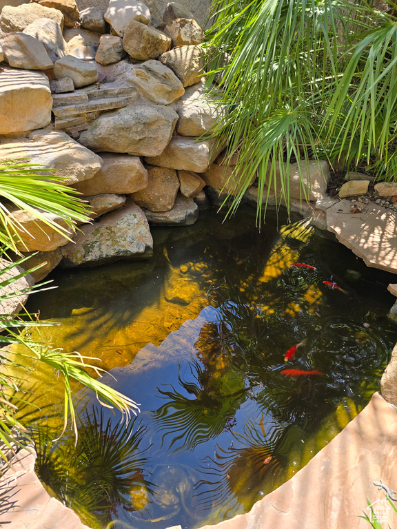 Exterior view of a garden pond