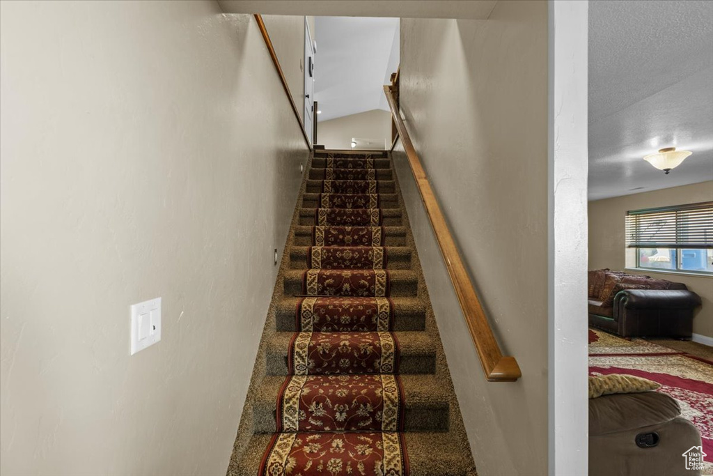 Stairs with carpet floors