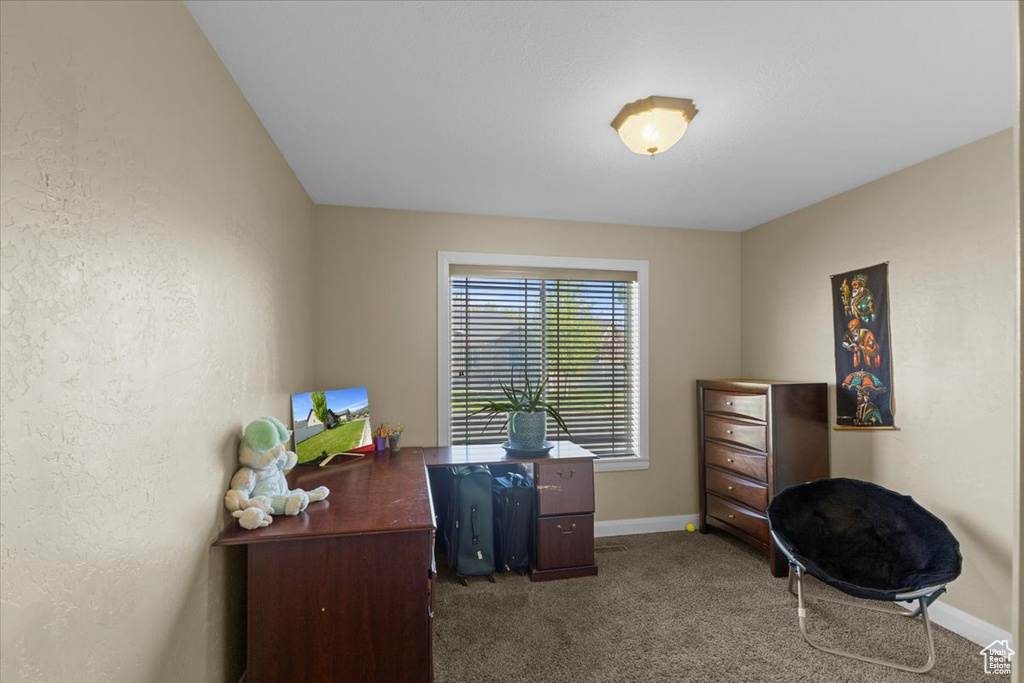 Carpeted office space featuring baseboards and a textured wall