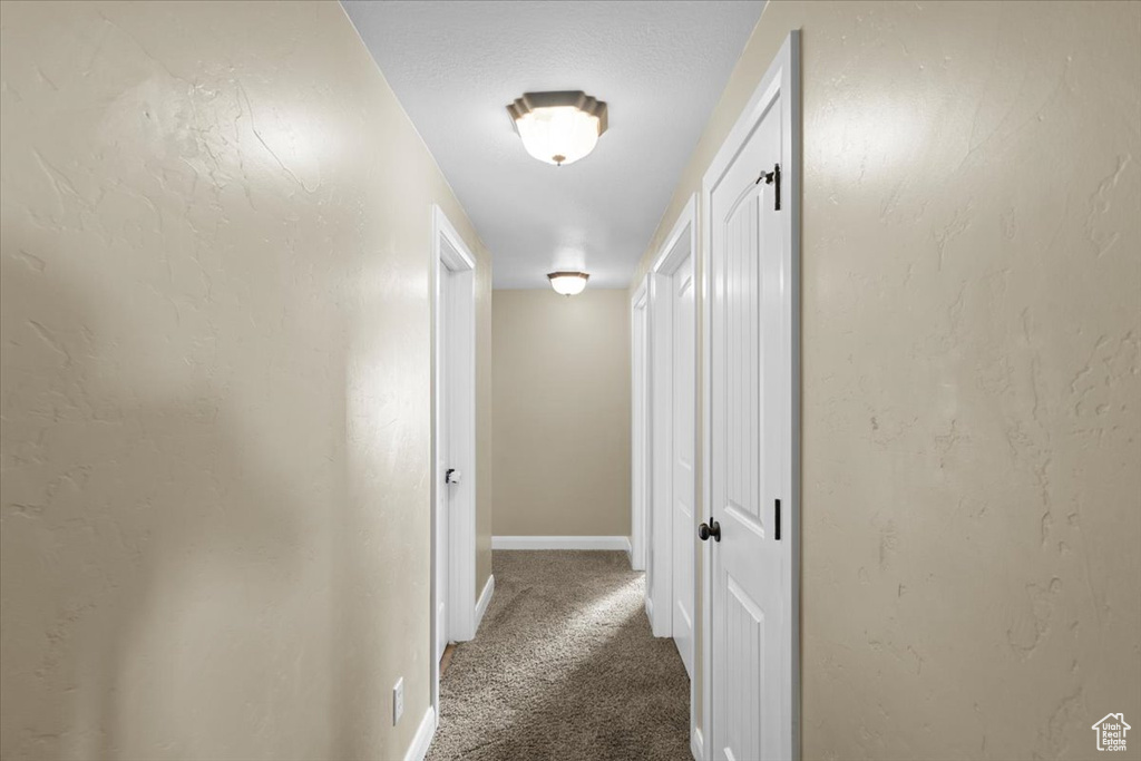 Corridor featuring carpet floors and baseboards
