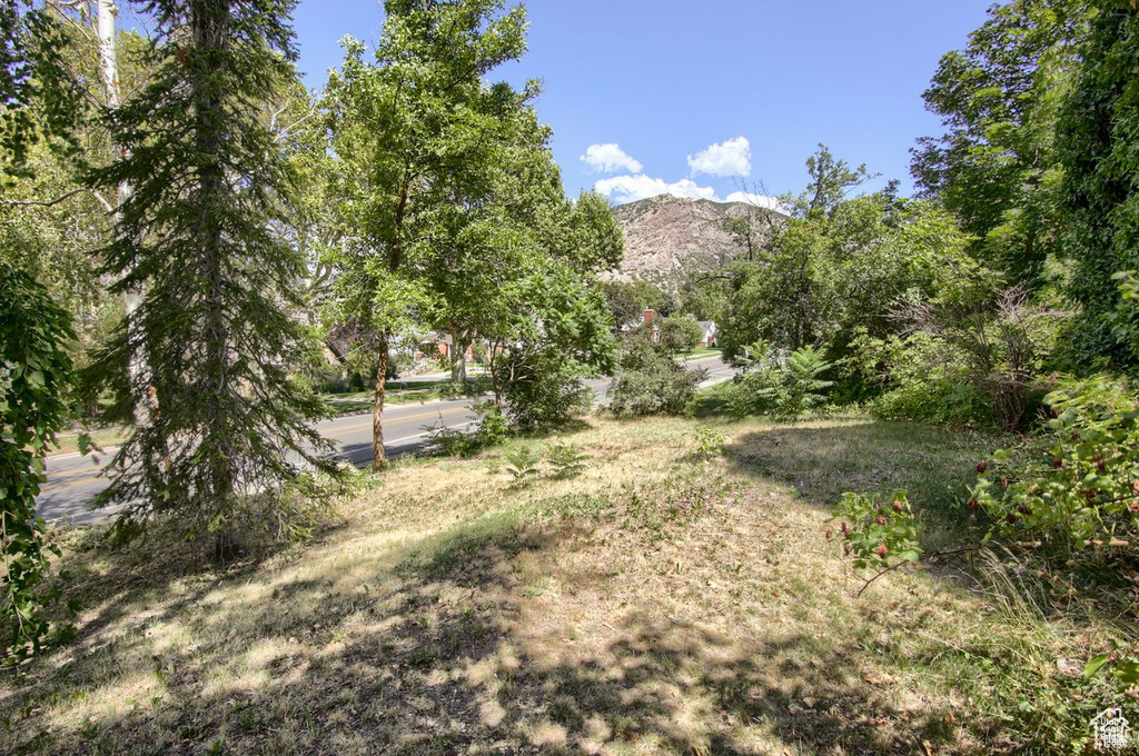 View of yard featuring a mountain view