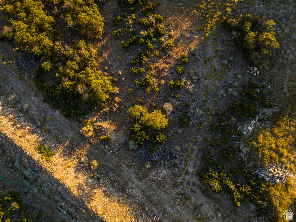 Aerial view of property's location