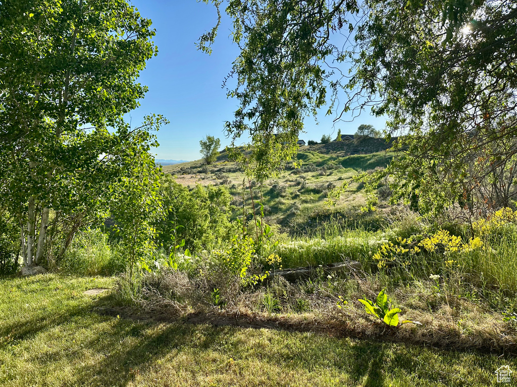 View of nature