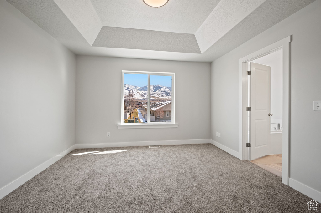 Unfurnished room with carpet, a raised ceiling, and baseboards