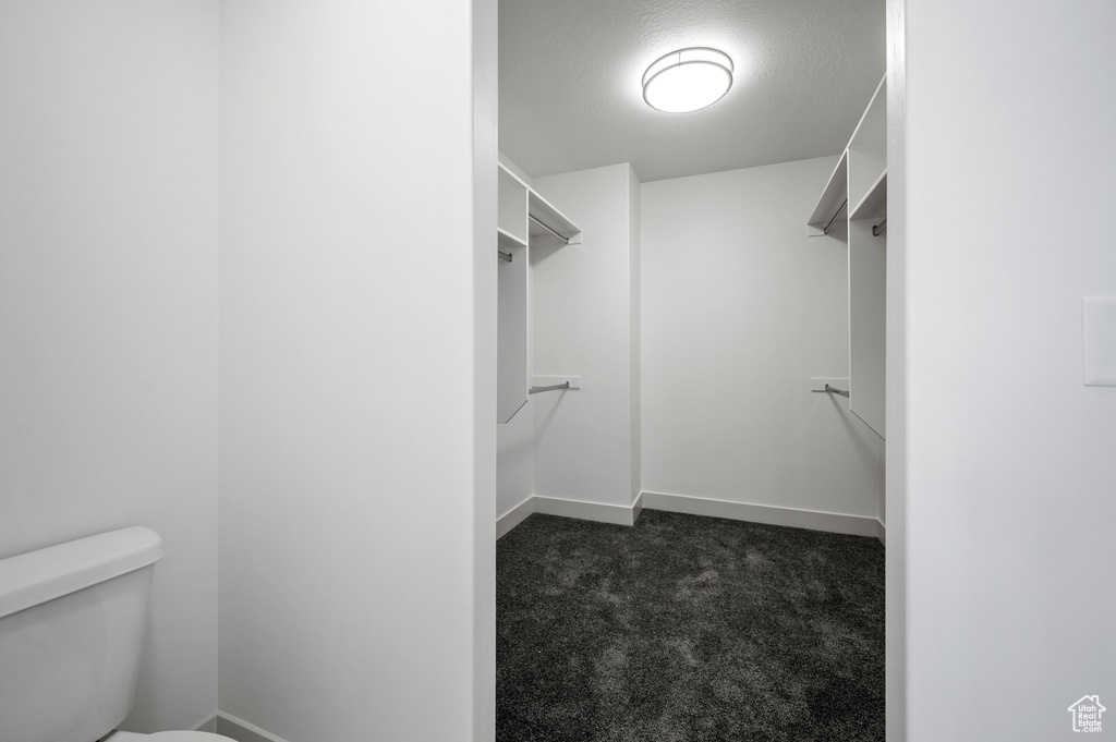 Spacious closet with dark colored carpet