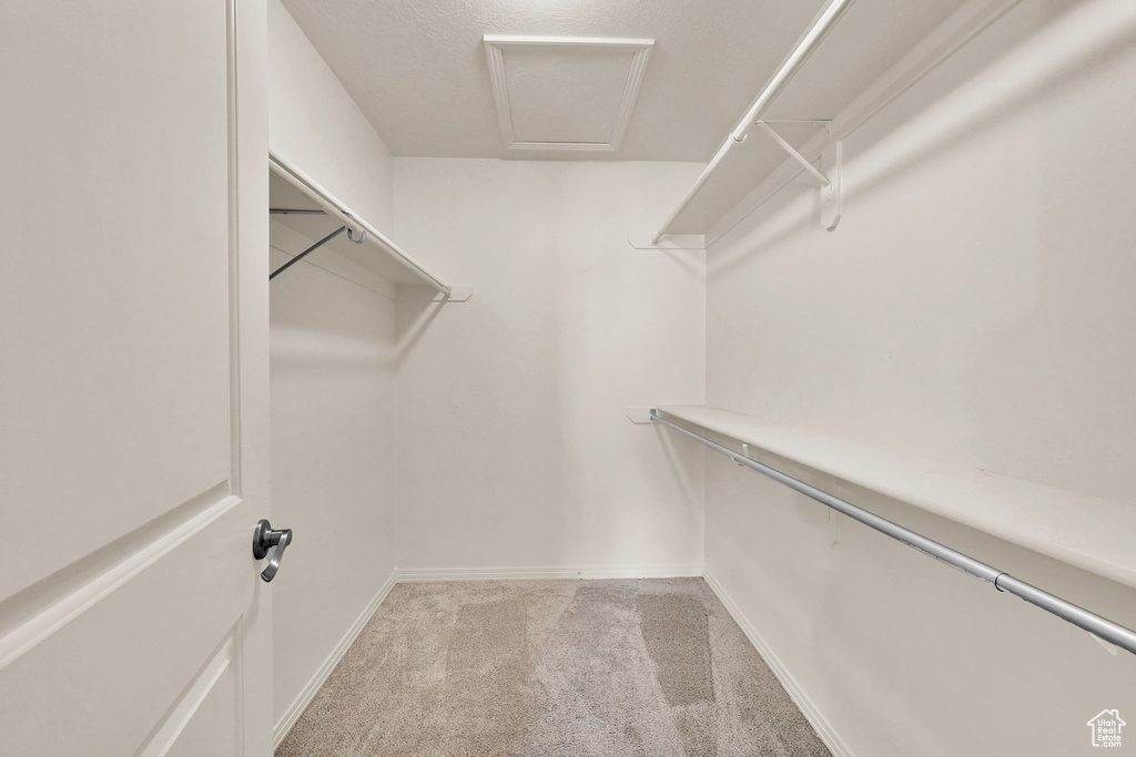 Spacious closet with light carpet and attic access