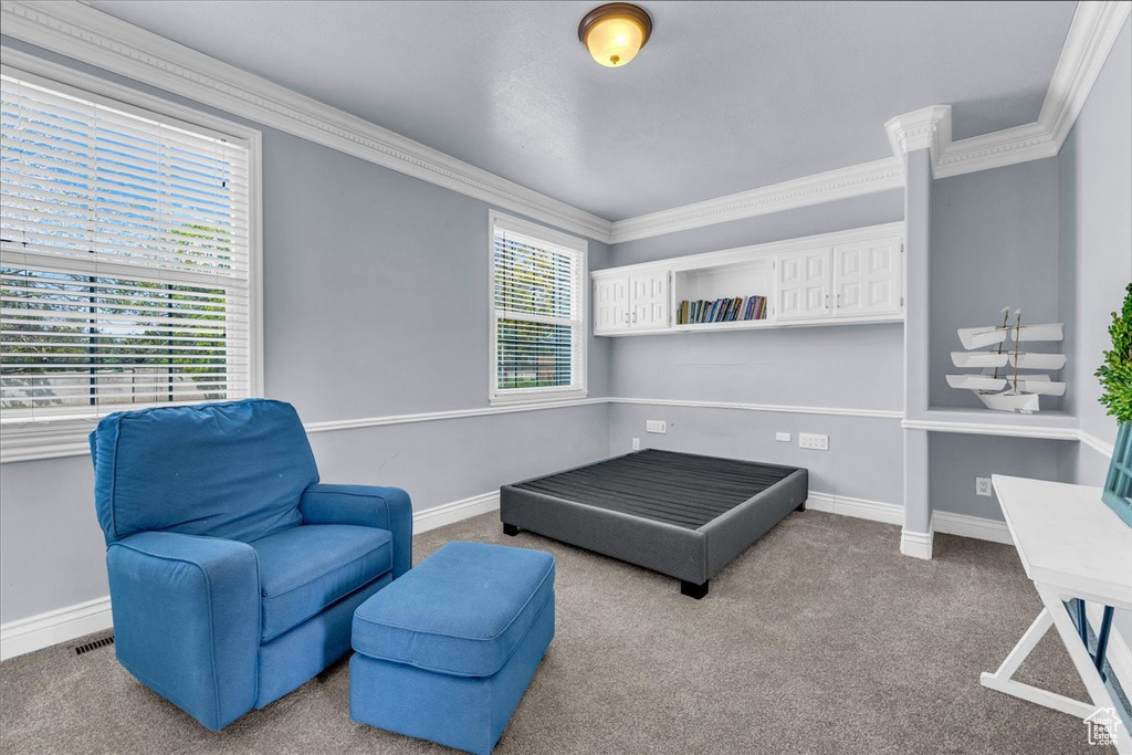 Living area featuring ornamental molding, carpet floors, and baseboards