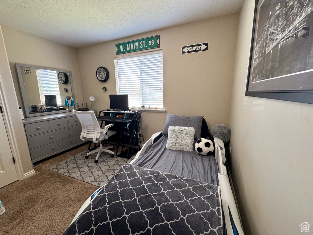 Bedroom featuring carpet flooring, multiple windows, and a textured ceiling