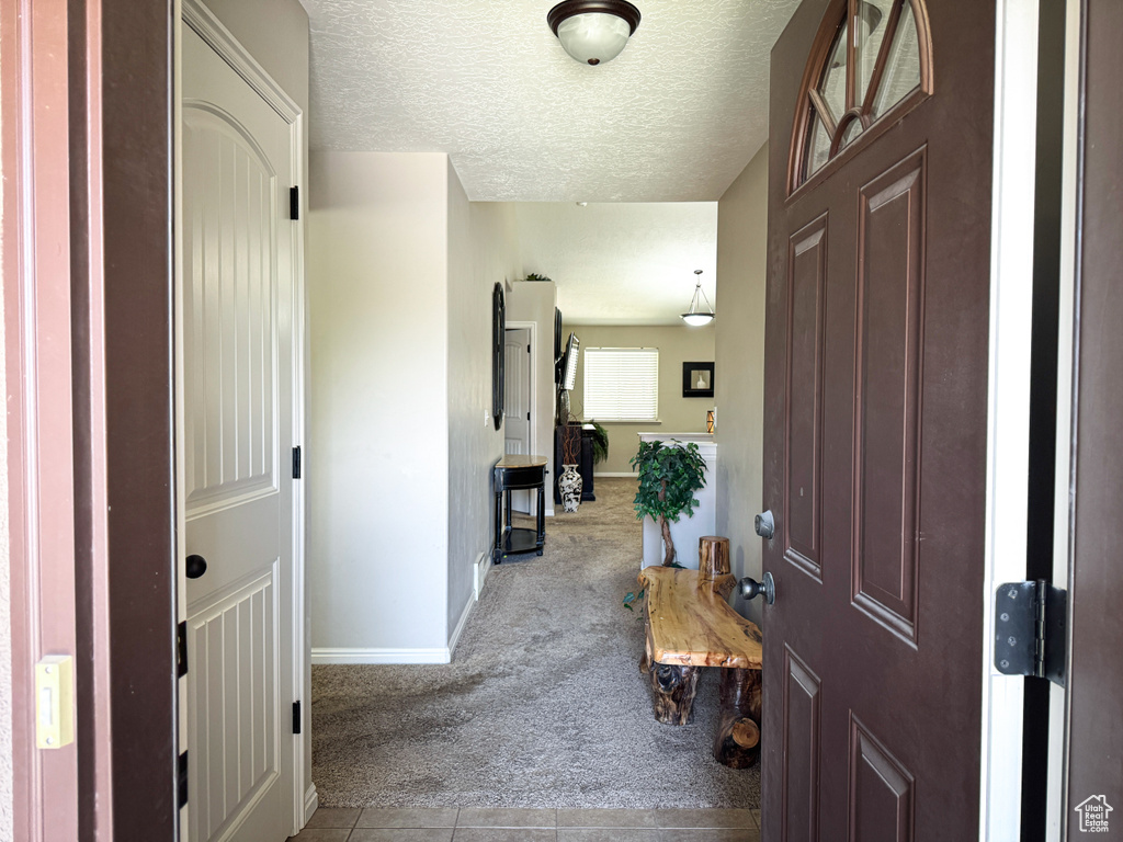 Carpeted entryway featuring baseboards, tile patterned flooring, and a textured ceiling