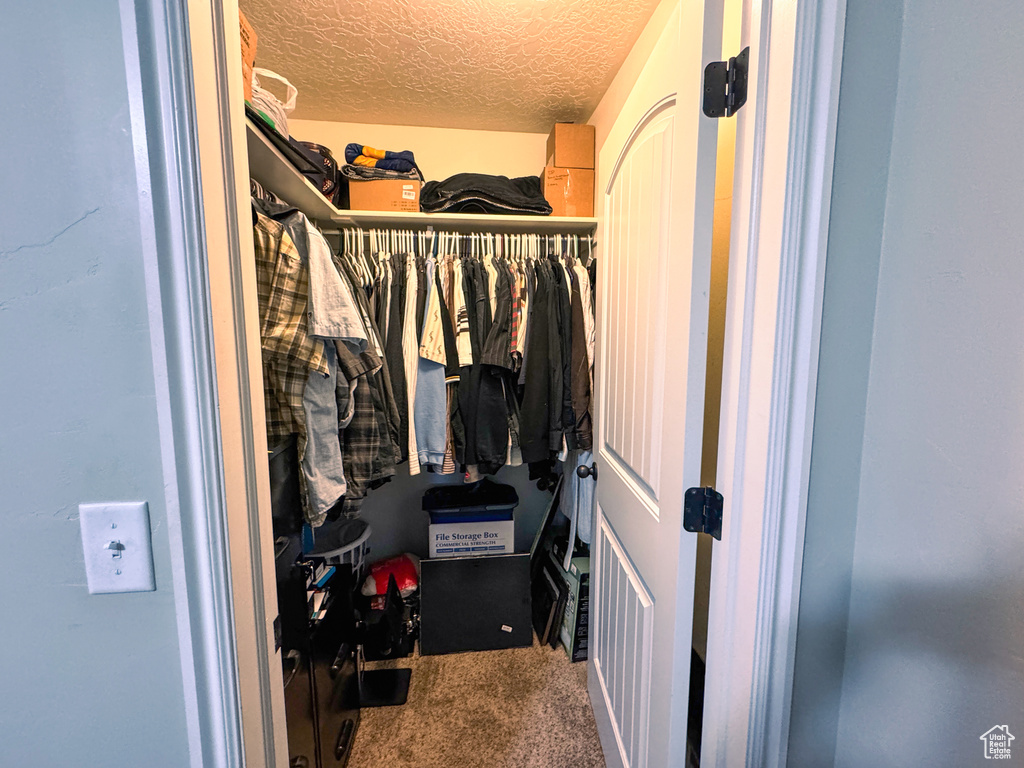 Spacious closet with carpet