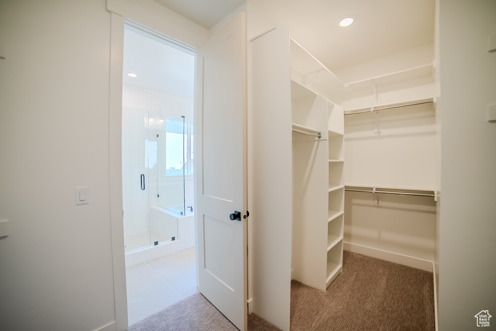Spacious closet with carpet flooring