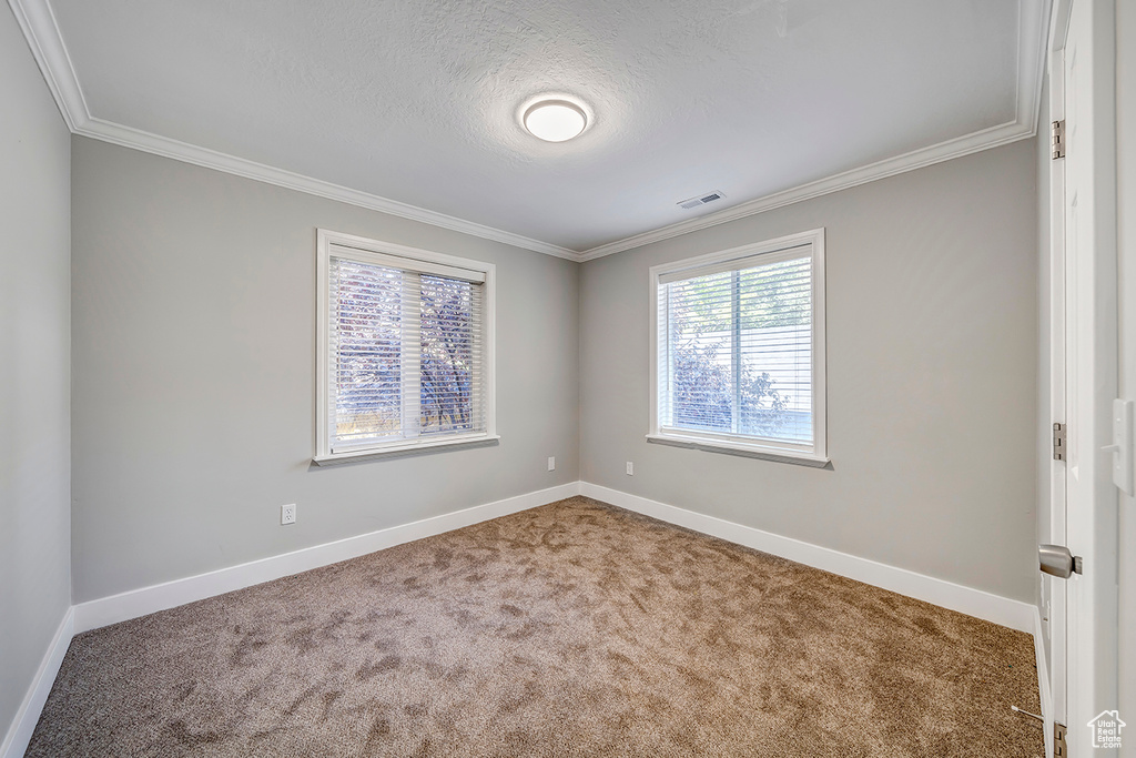 Spare room featuring carpet flooring, ornamental molding, baseboards, and a textured ceiling