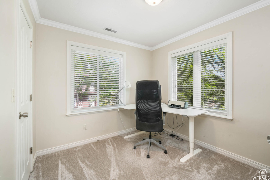 Office area featuring crown molding and carpet flooring