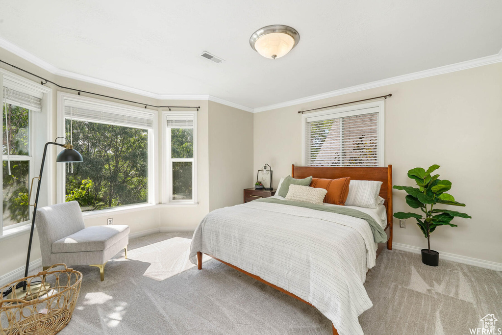 Carpeted bedroom featuring crown molding and multiple windows