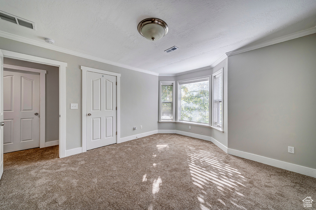 Unfurnished bedroom featuring carpet flooring, a textured ceiling, ornamental molding, and baseboards