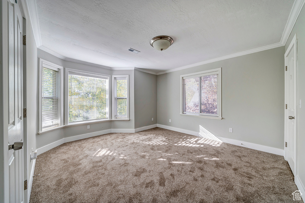 Carpeted empty room with plenty of natural light, baseboards, ornamental molding, and a textured ceiling