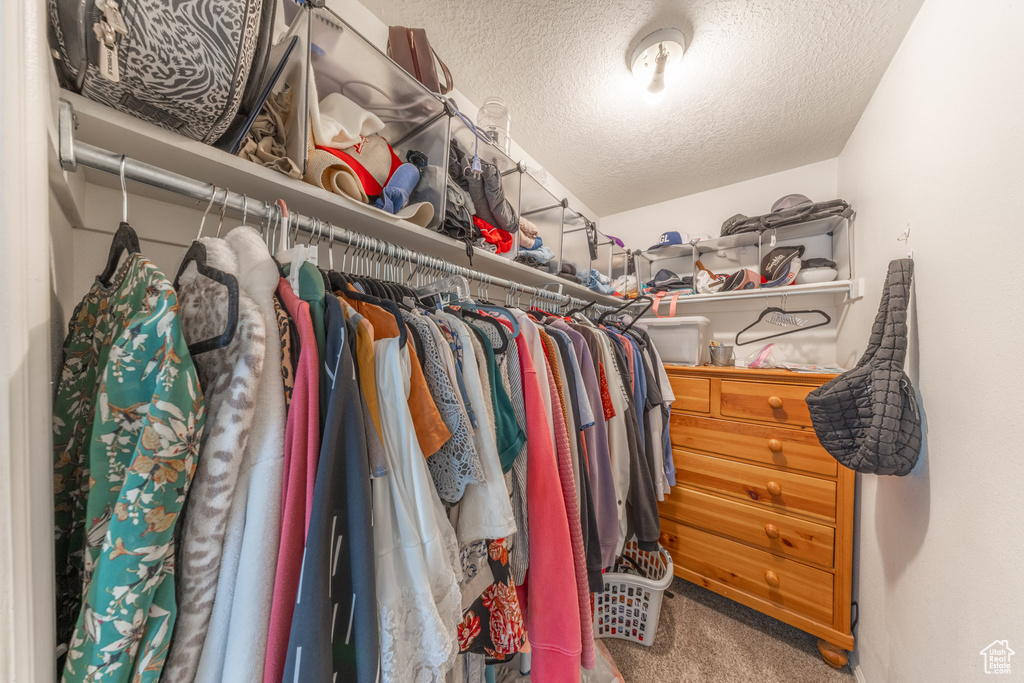 Walk in closet with carpet flooring