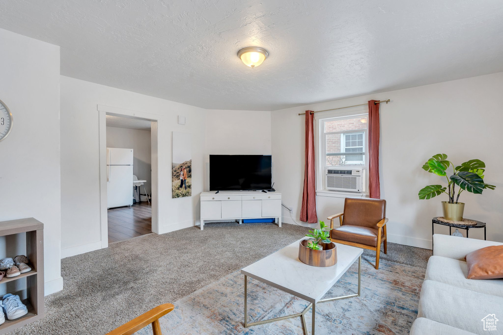 Living area featuring carpet, baseboards, and a textured ceiling