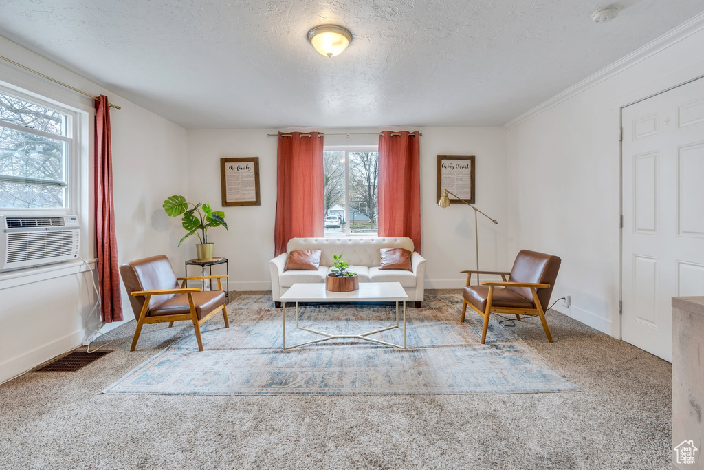 Carpeted living room with plenty of natural light, cooling unit, a textured ceiling, and baseboards