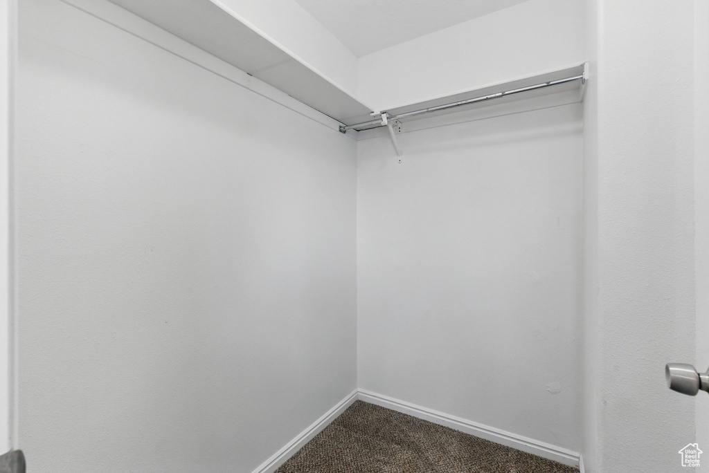 Walk in closet with dark colored carpet