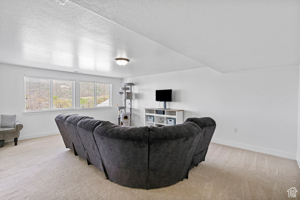 Living area featuring light carpet, baseboards, and a textured ceiling