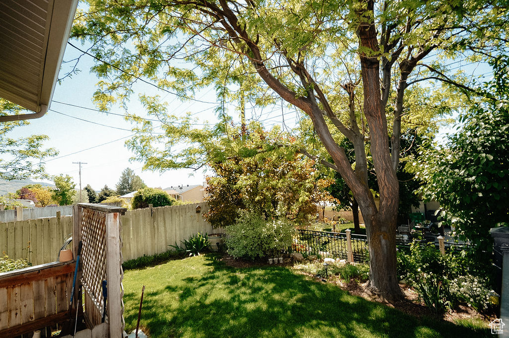 View of yard