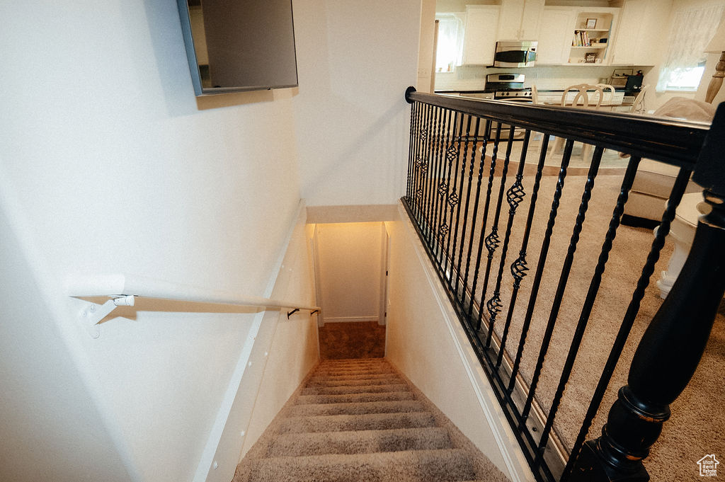 Stairway featuring carpet