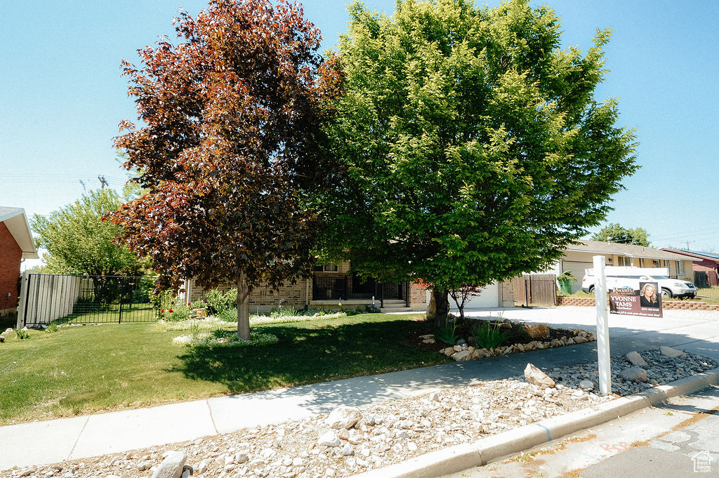View of property hidden behind natural elements featuring concrete driveway