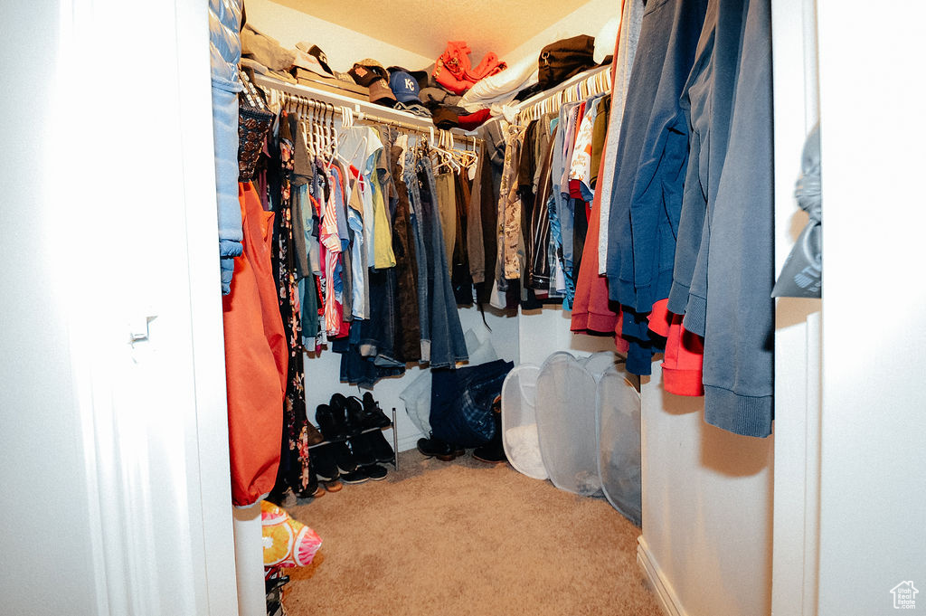 Walk in closet featuring carpet flooring