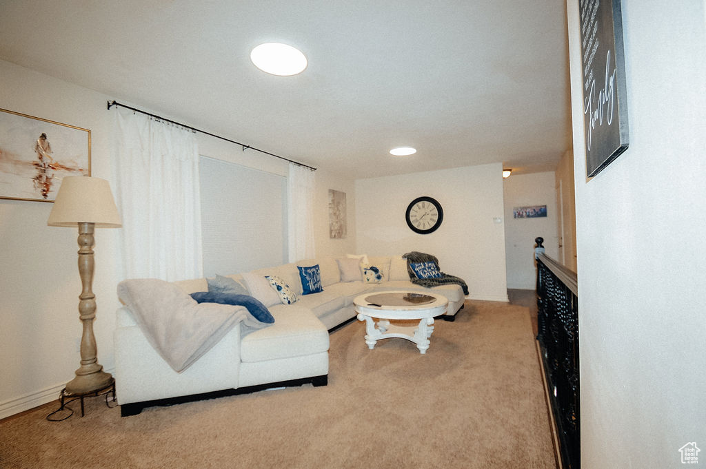 Living room featuring carpet