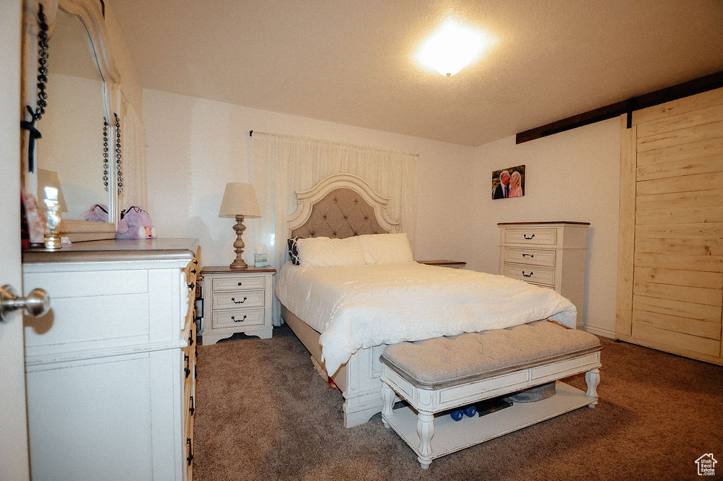 Carpeted bedroom featuring a barn door