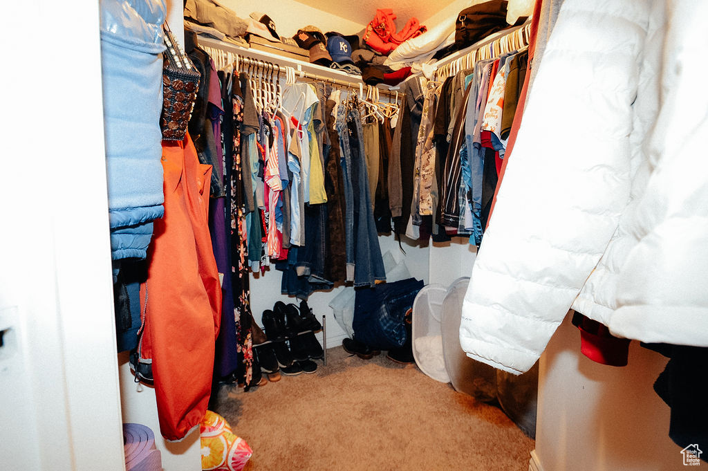 Walk in closet with carpet