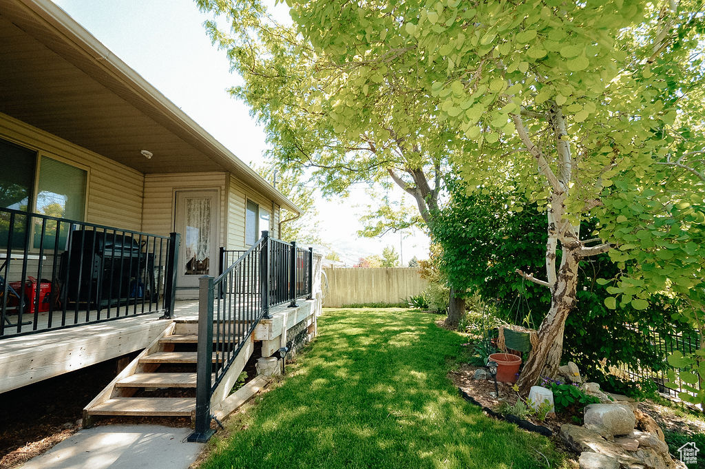 View of yard