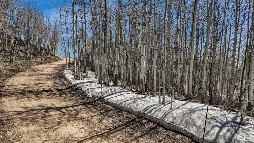View of wooded area