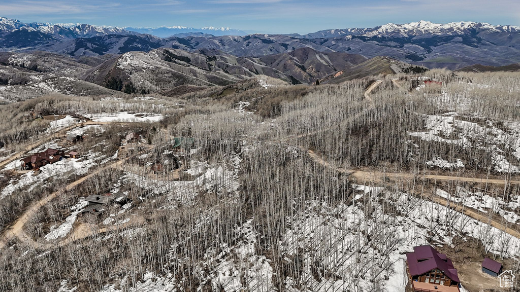 View of mountain background