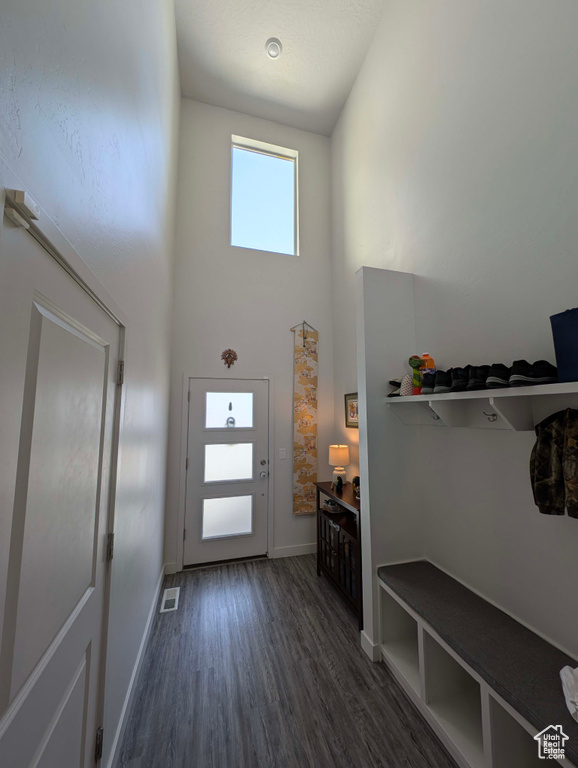 Foyer with a high ceiling, dark wood-type flooring, and baseboards