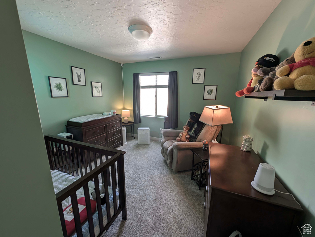 Carpeted bedroom with a textured ceiling