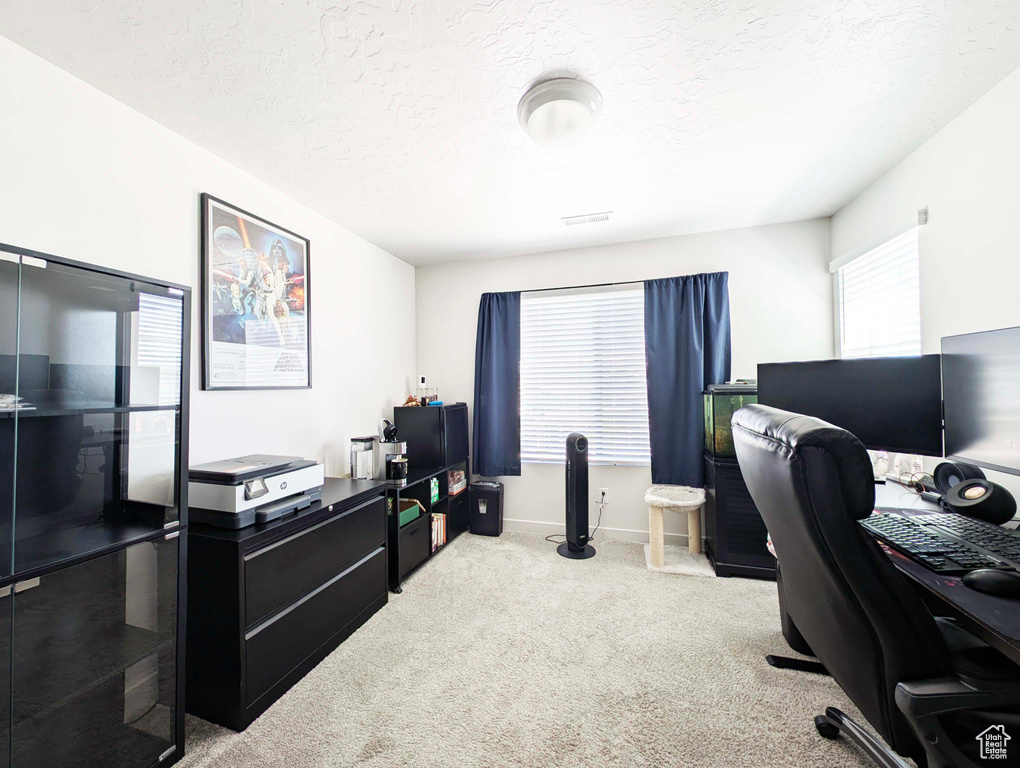 Office space with light colored carpet, a textured ceiling, and baseboards