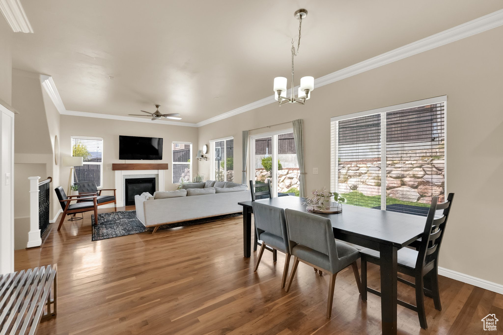Dining space with plenty of natural light, crown molding, a glass covered fireplace, and ceiling fan with notable chandelier