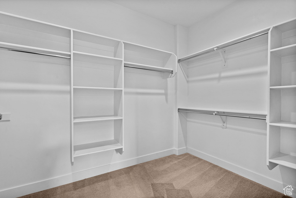 Spacious closet with carpet floors