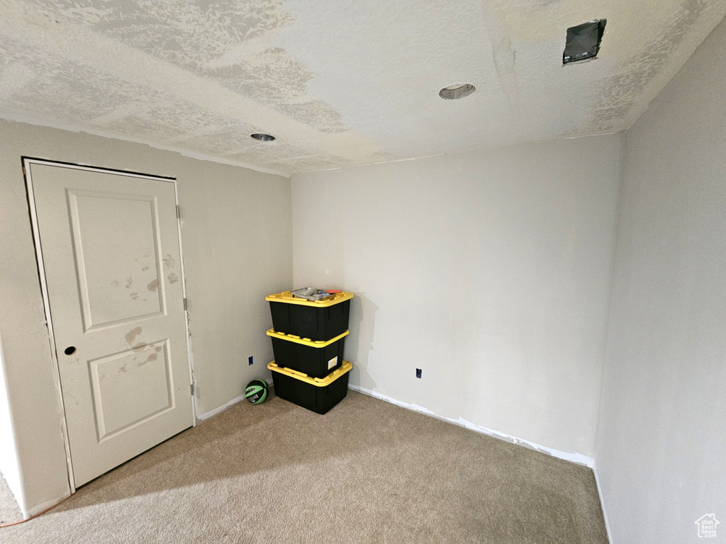 Spare room with carpet, baseboards, and a textured ceiling