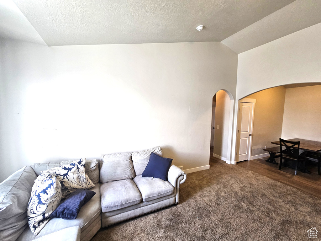 Living area with arched walkways, vaulted ceiling, carpet, baseboards, and a textured ceiling