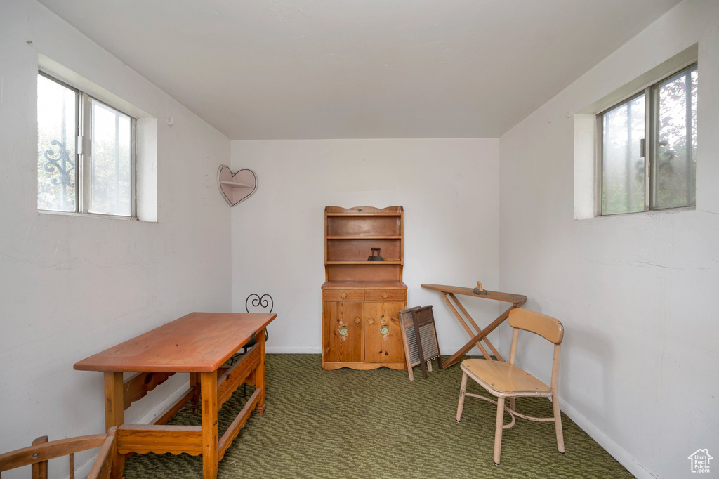 Office area featuring plenty of natural light, carpet, and baseboards