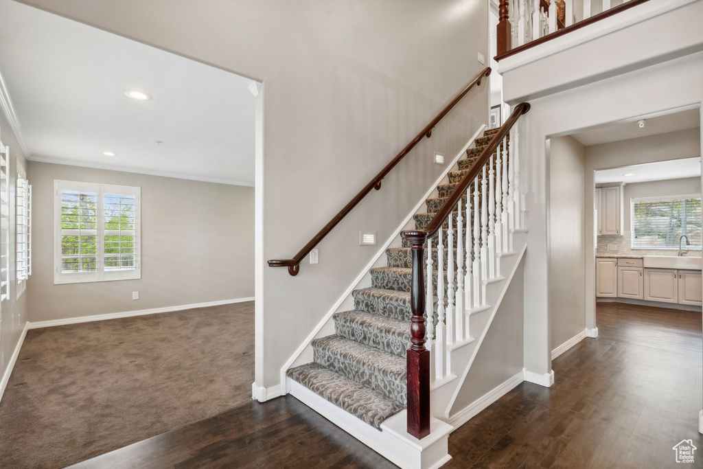 Stairway with baseboards, wood finished floors, recessed lighting, ornamental molding, and carpet floors