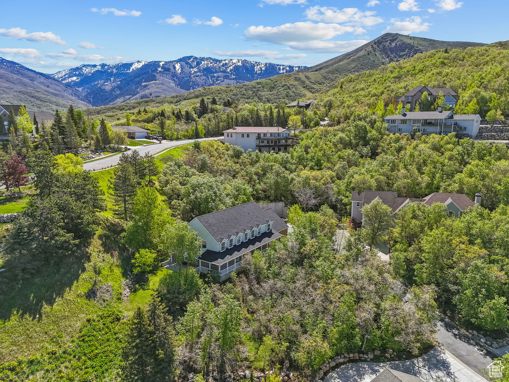 Drone / aerial view of a mountain backdrop and a heavily wooded area