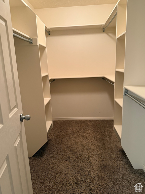 Walk in closet with dark colored carpet